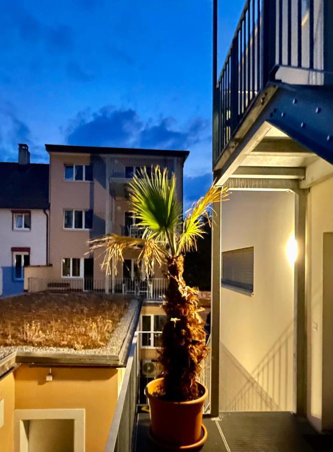 Good Night Apartments Binningen Dış mekan fotoğraf
